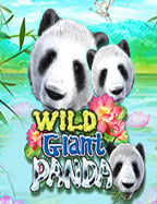 รีวิว แทง บอล ครึ่ง แรก เล่นง่ายได้เงินไว